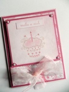 wDSCN5793 auto contrast picasa