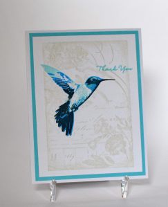 Hummingbird Thank You wwDSC_0897