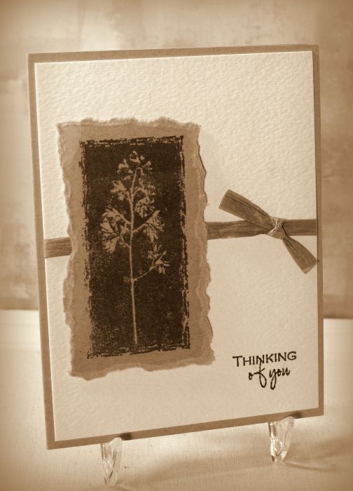 Masculine Thinking of You zzDSC_5512c picasa.jpg