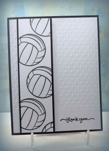 volleyball with embossing wDSC_5592c picasa