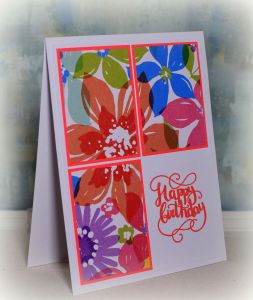 wDSC_5640c auto contrast picasa